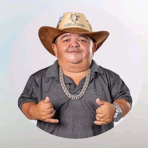 @pililiudaresenha70
