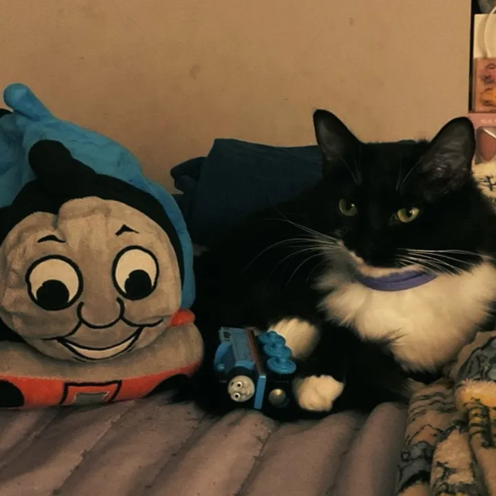 thomas.fan.1.og