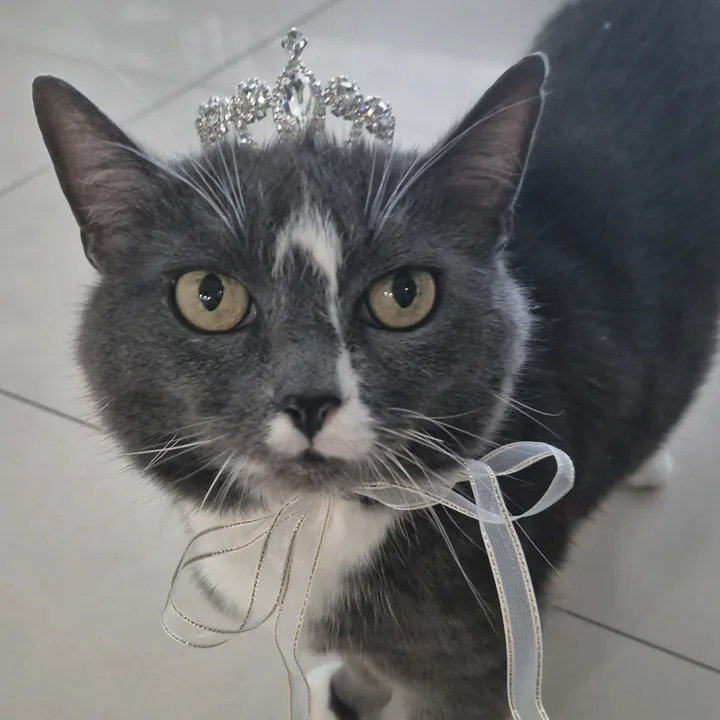 queen_alisa54
