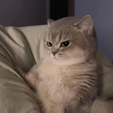@leeknoot_