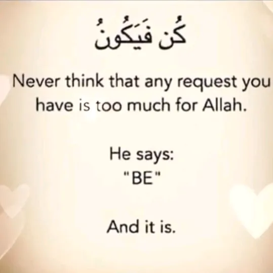 @hafeeza_100