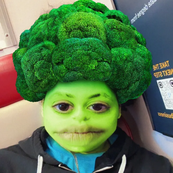 @mythicalelfdragon