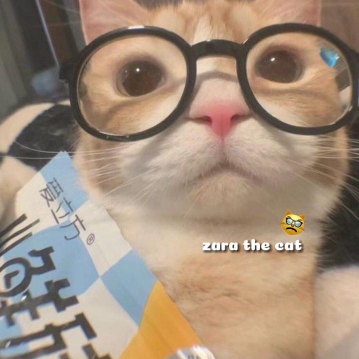 ZaraTheCat - suara asli
