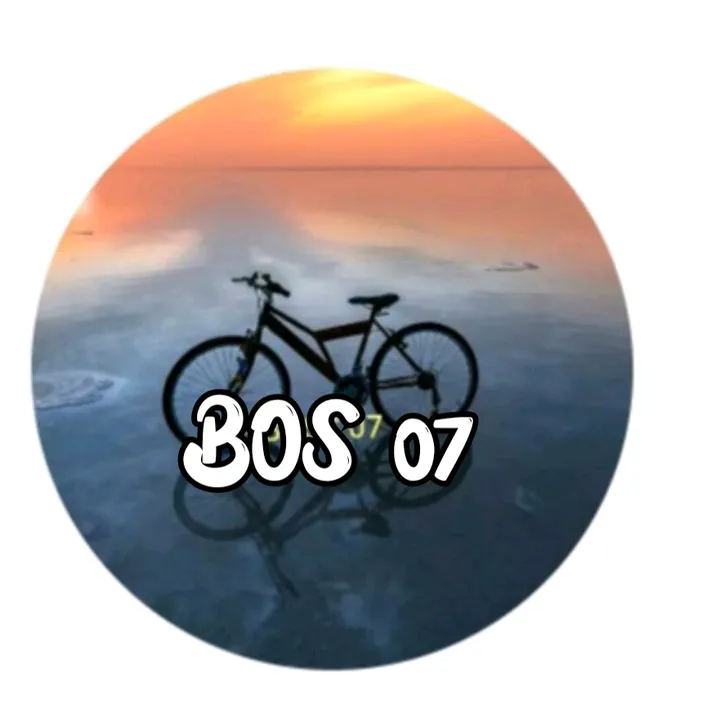 bos0607