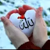 allahallahs43