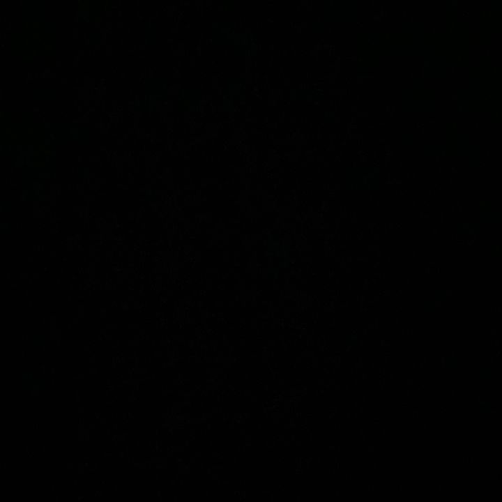 laylah_garcia20