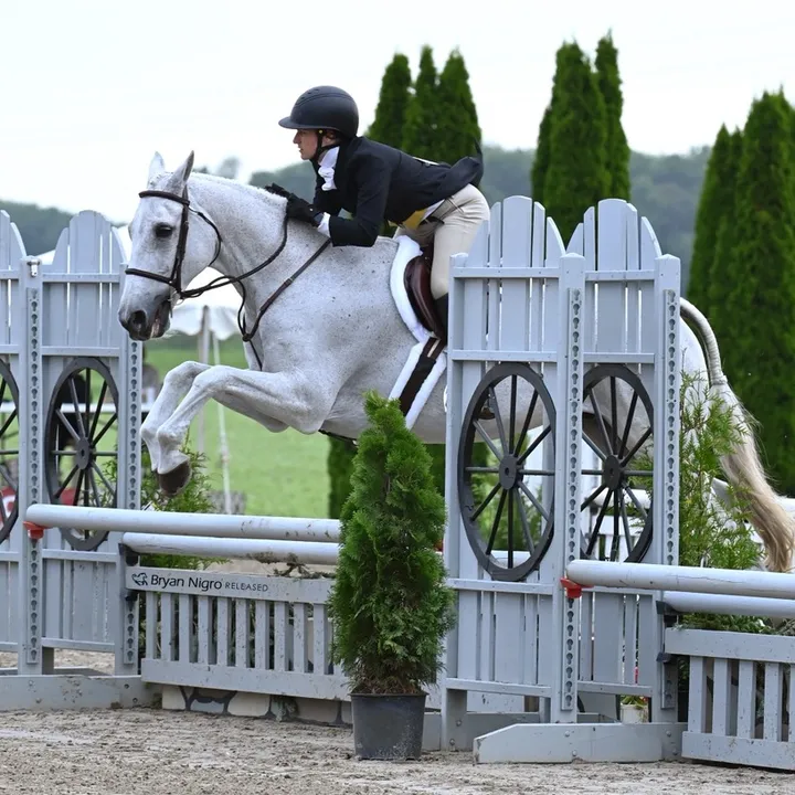 @ak_18.equestrian