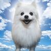gabe._.the._.doge