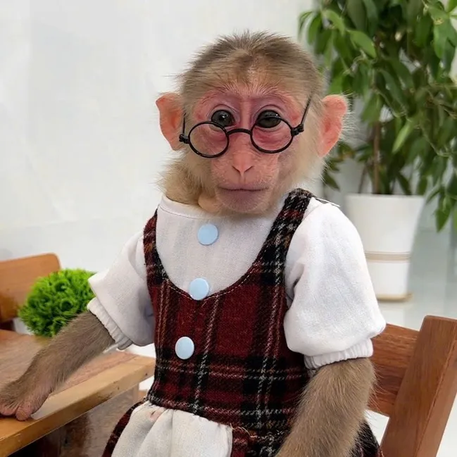 monkey_lily2