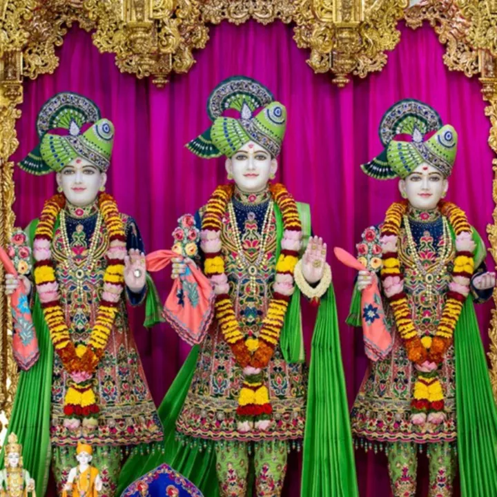 harjit393