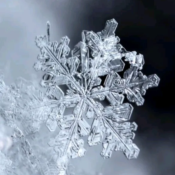 mylittlesnow28