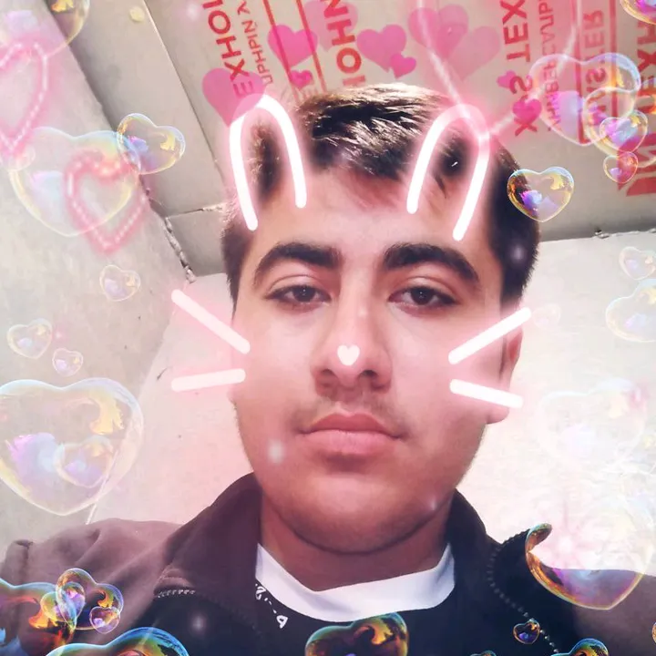gmm_198