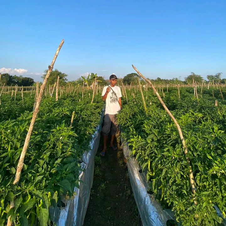 syamsul_hadi7
