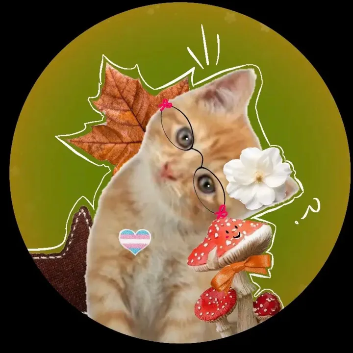 @mushie_cat