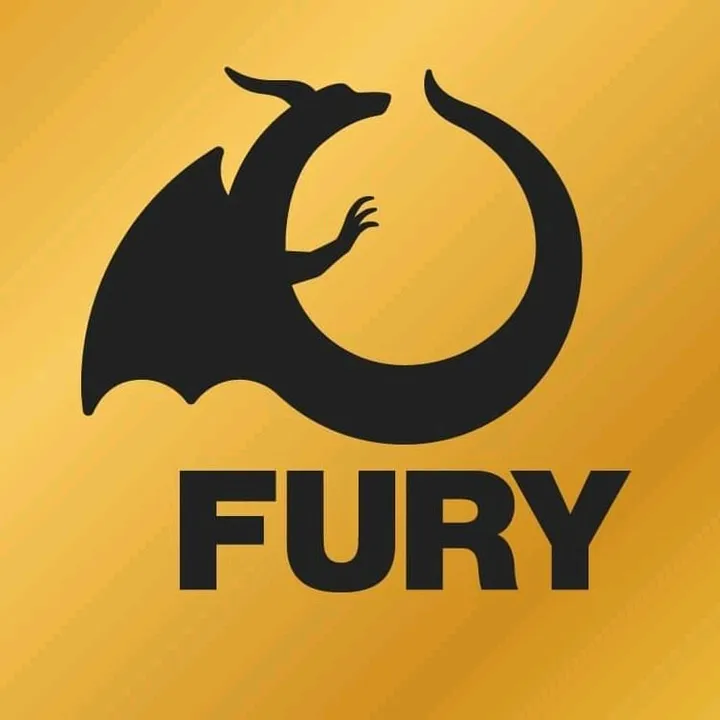 teamfurybyskills