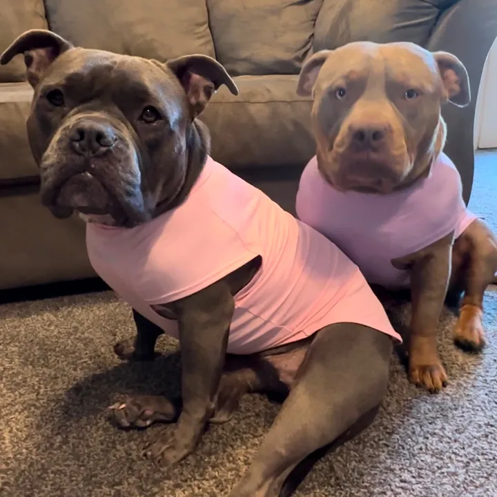 @barkavenue131