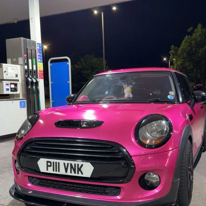 @thatpinkf56