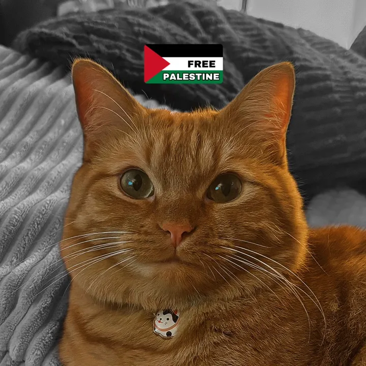 @cowboycatdad