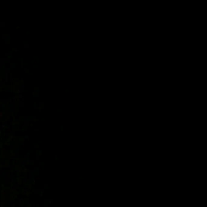 r_sulis29