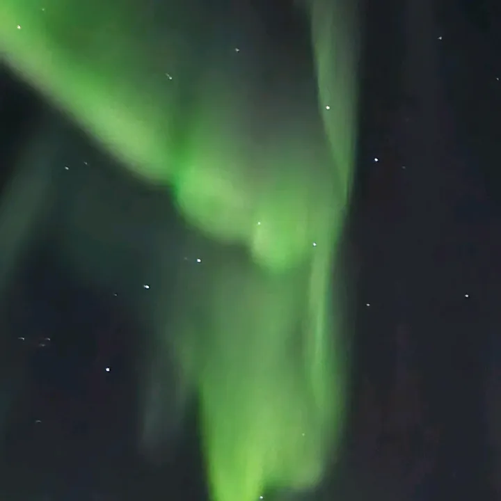 friluftsliv
