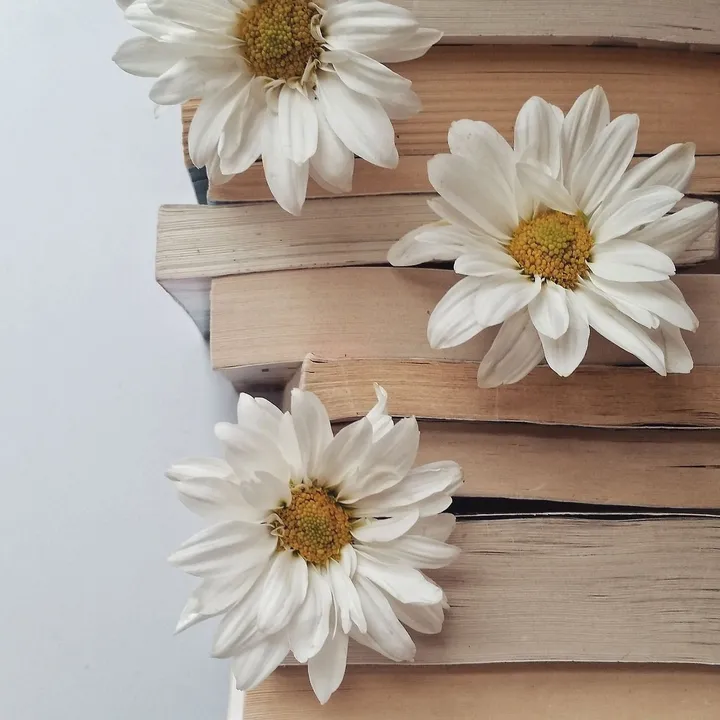 hyacinth_books