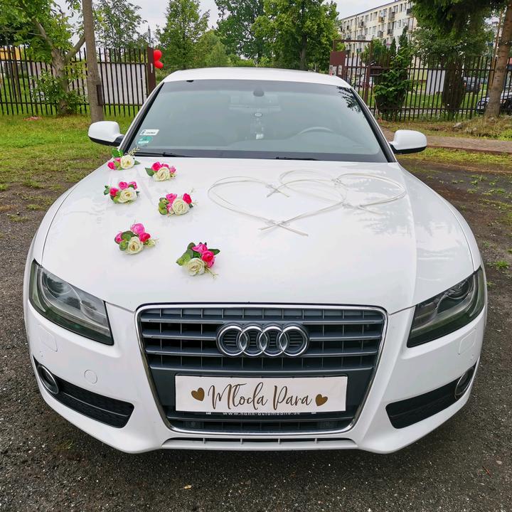 Flora Cars - suara asli