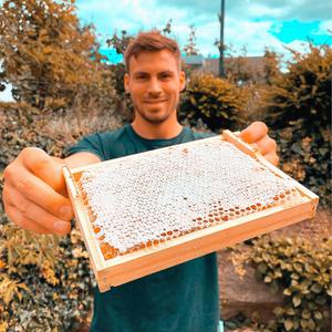 sk_beekeeping