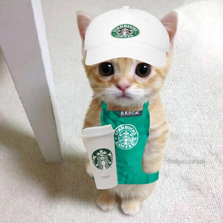 @yourlocalstarbies