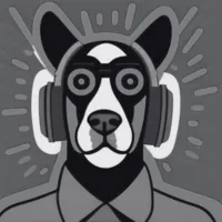 perro.indie