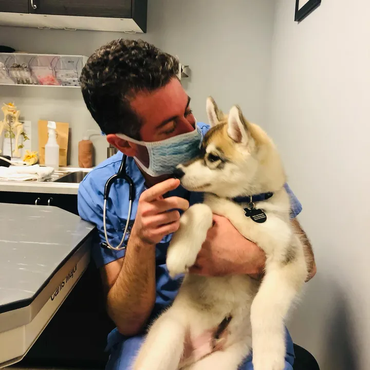 @yorkvetcenter
