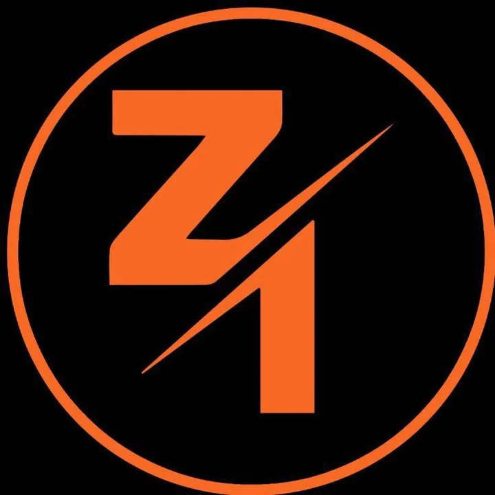 @z1motors
