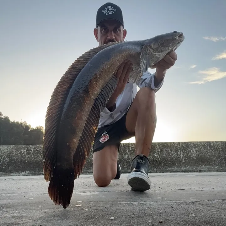 @badabingbadaboomfishing