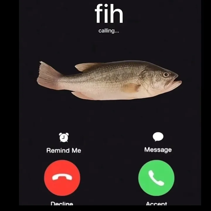 floppity_flippers_fih