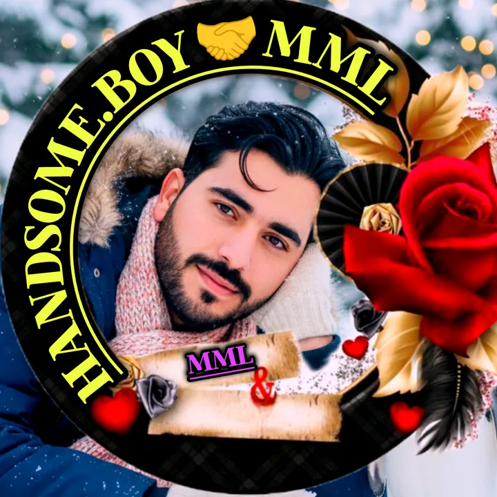 f.s.malik1