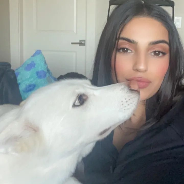 @screamingava