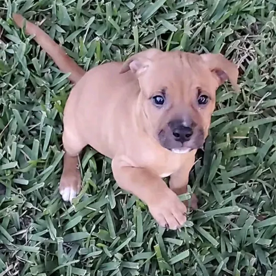 @kanethefriendliestpit