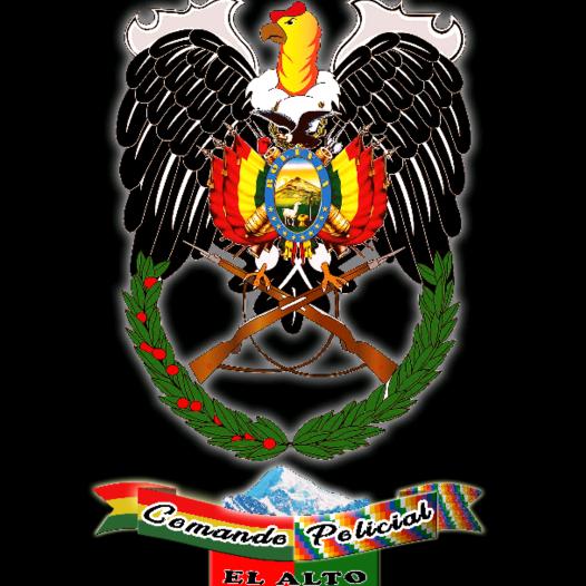 @comando_policial_el_alto