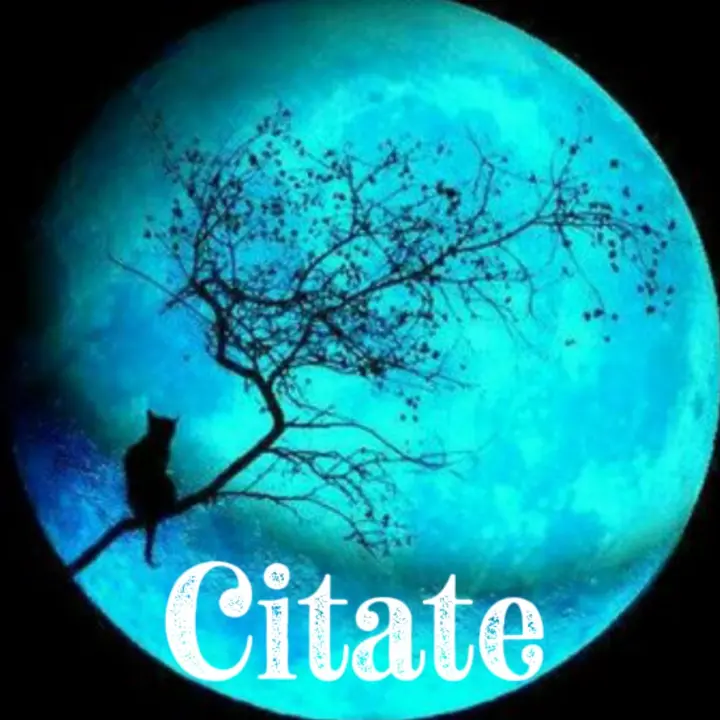 #Citatee ❤ - suara asli