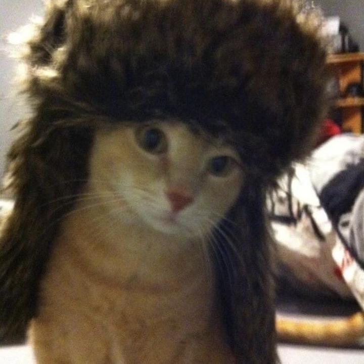 xensorii - suara asli