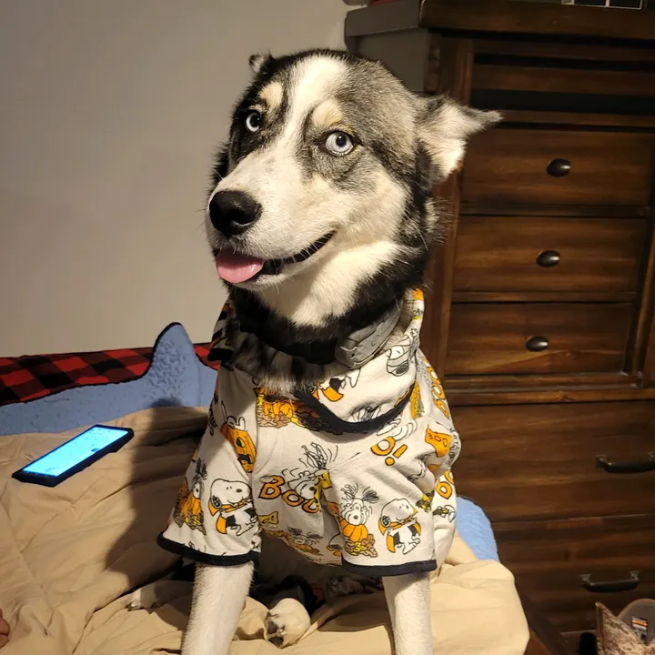 @kpbrutcher