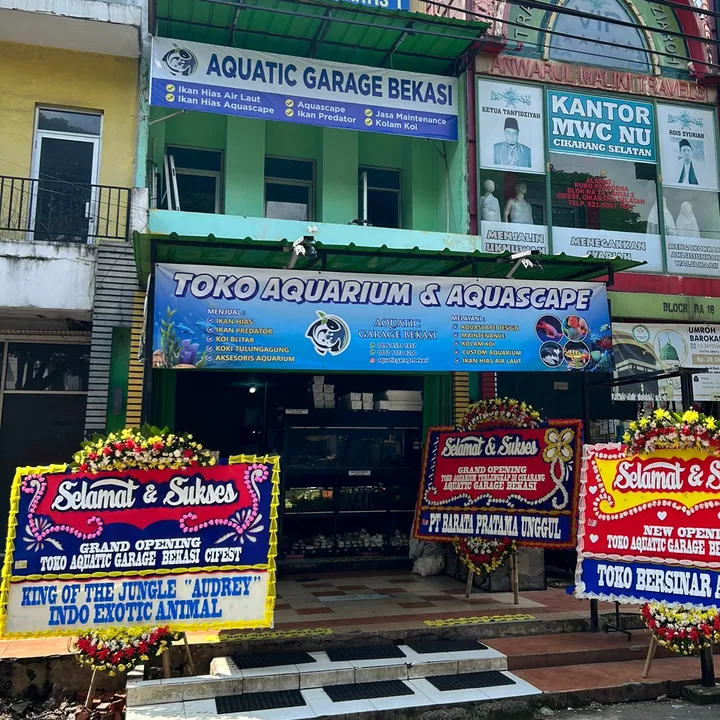 @aquaticgaragebekasi