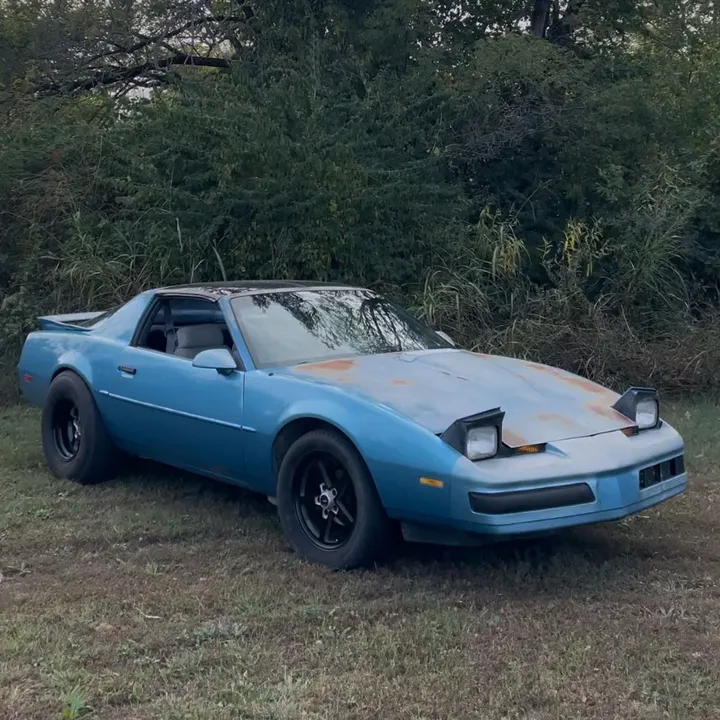 @augustd722