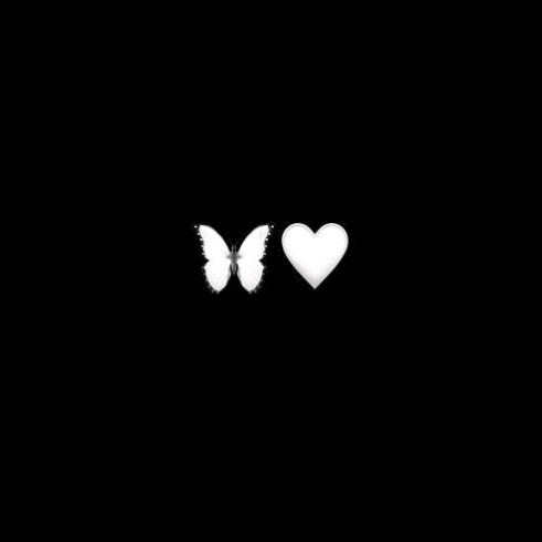sofiii - suara asli