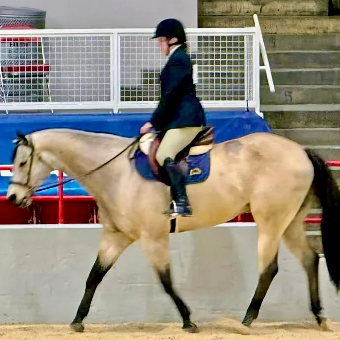 kristisanderlin