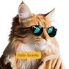 estilo.fucinho