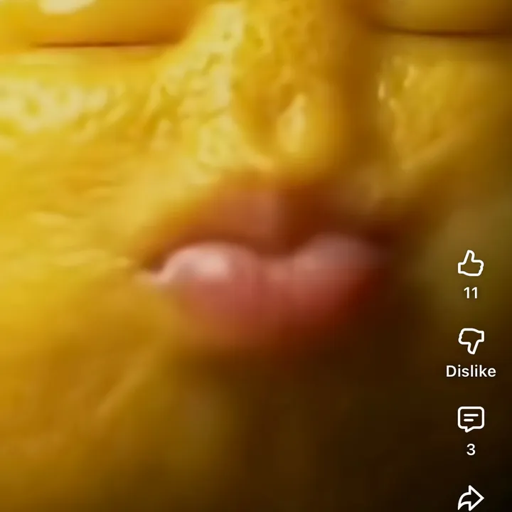 neddyned53