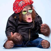 benejaamin
