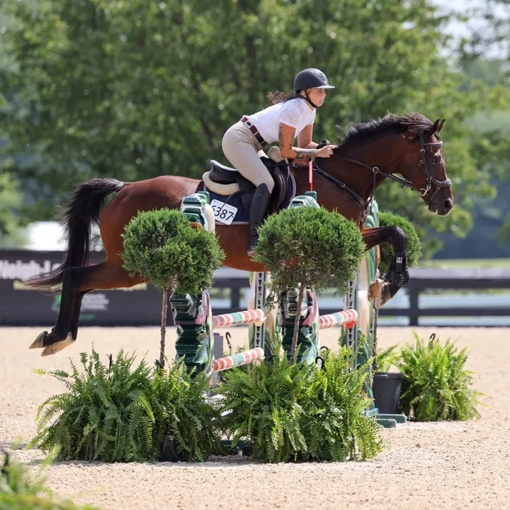 @lunarhillequestrian
