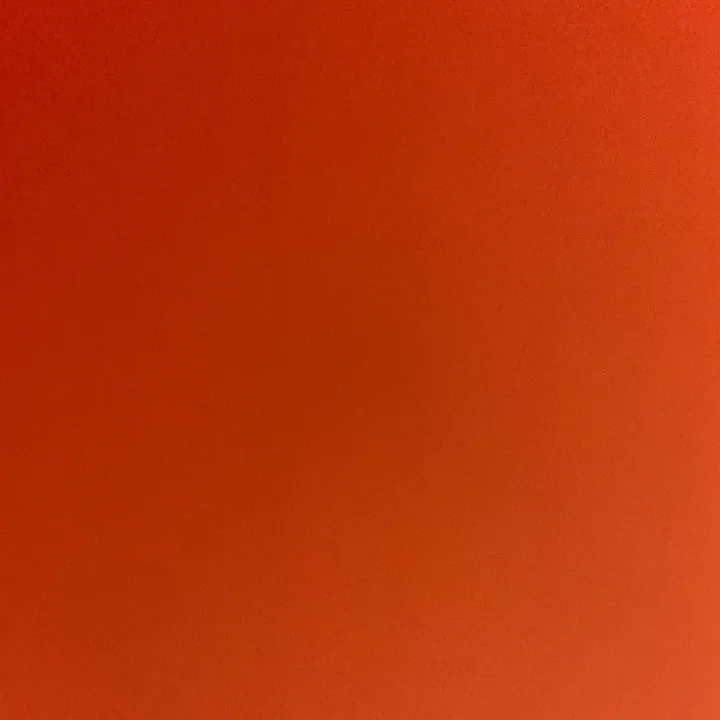 @chihuahua_niki3