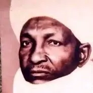 danmezagenmimiyya